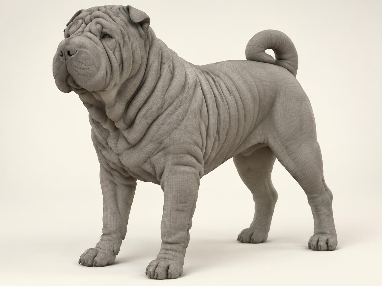Digitales 3D-Modell eines Shar-Pei